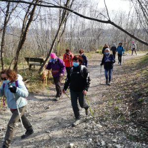 158900655_3683496551698843_6523524810578205815_n