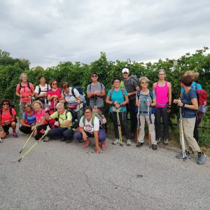 242378478_4249475338434292_1573526502006473732_n