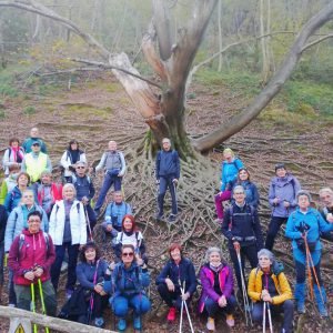 248201561_4356802934368198_1752574891949834181_n