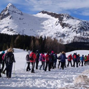 84261392_2671697846212057_835590126569521152_n